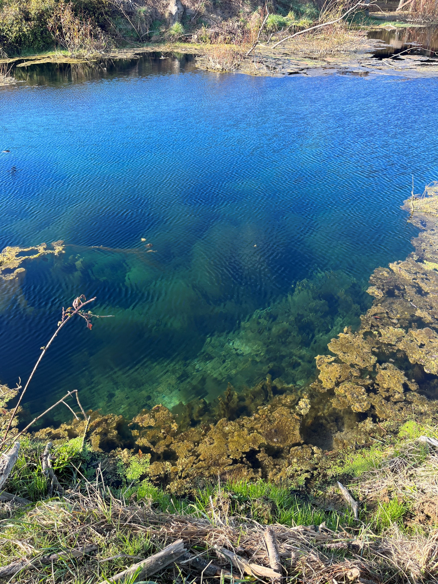 He Puna Mānawa Whenua - Blue Hole