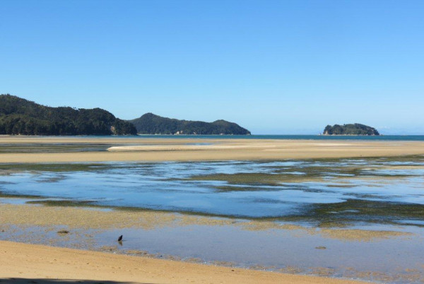 Gallery  - Marahau Beach<br />
 
