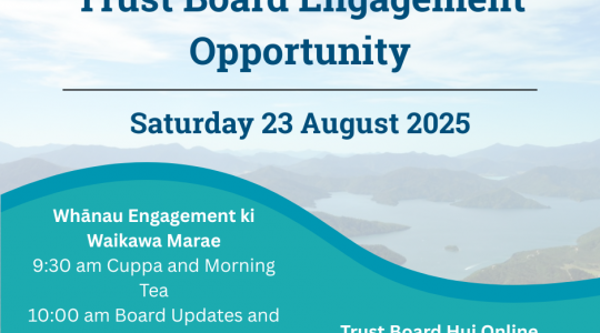 Trust Board Engagement Opportunity