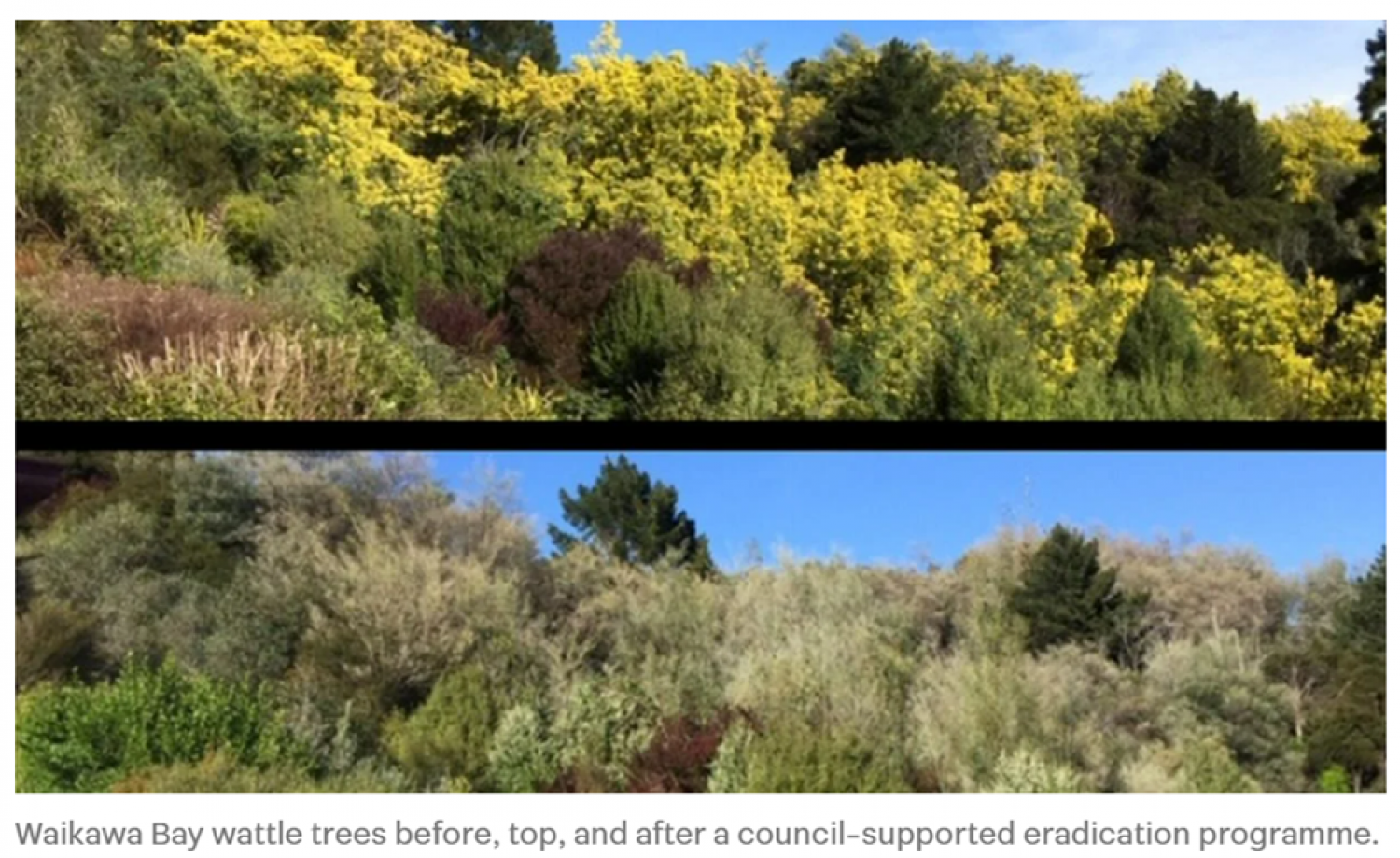 Wattle Control Training Event